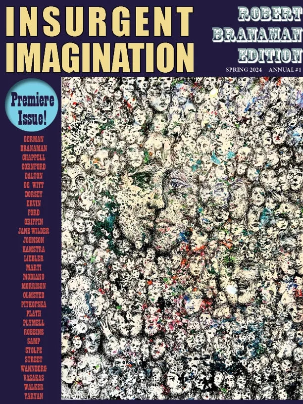 Insurgent Imagination